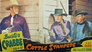 Cattle Stampede